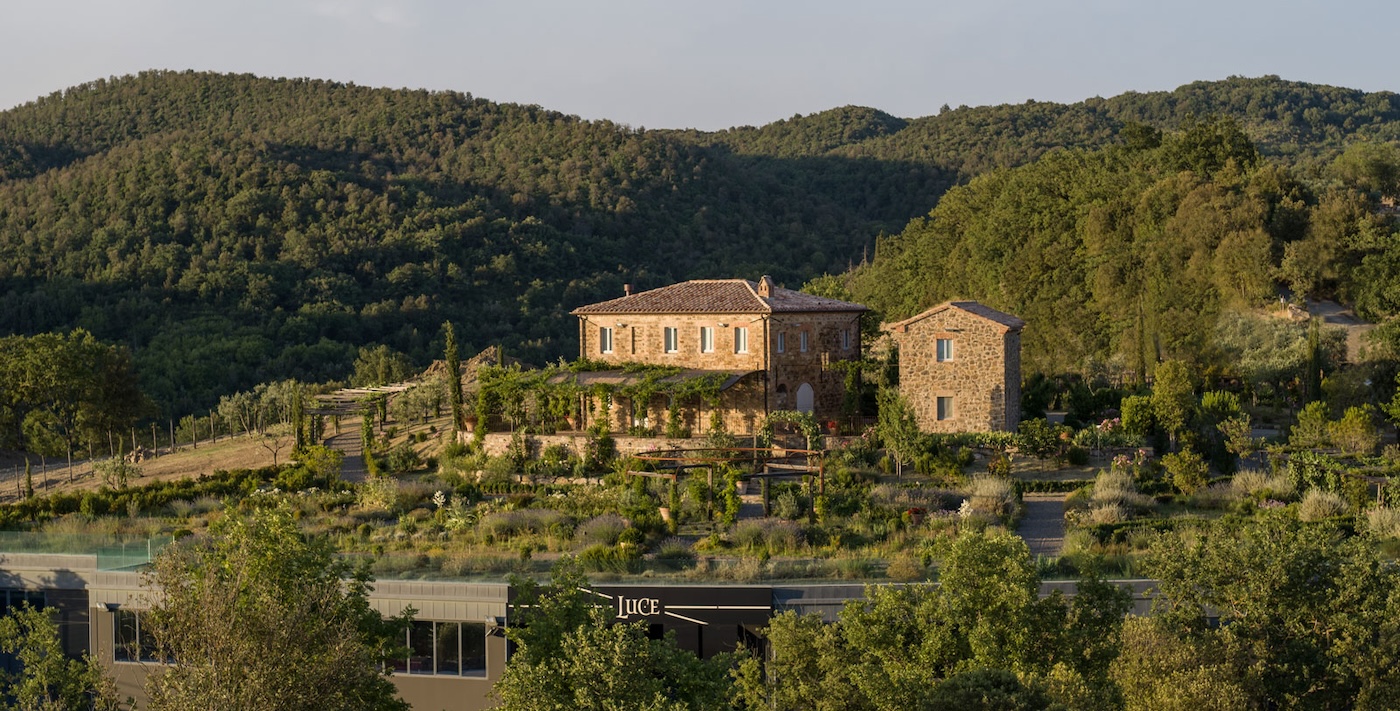 Tenuta Luce